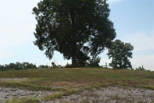 Overview of Adams Family Cemetery No.1