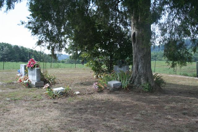 Adams Family Cemetery No.1