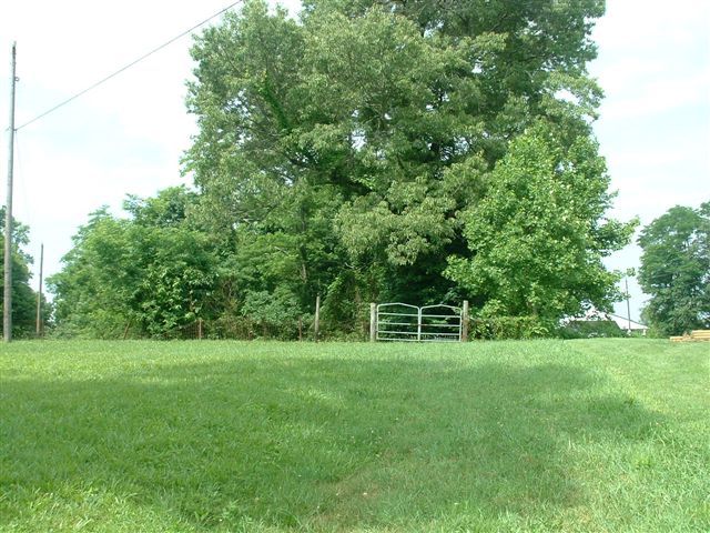 Overview of Allen-Shoemaker Cemtery